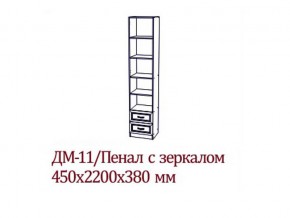 ДМ-11 Пенал с зеркалом в Александровске - aleksandrovsk.magazin-mebel74.ru | фото