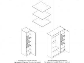 Комплект полок шкафа 1 дверного или 3 дверного в Александровске - aleksandrovsk.magazin-mebel74.ru | фото