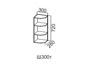 Ш300т/720 Шкаф навесной 300/720 (торцевой) в Александровске - aleksandrovsk.magazin-mebel74.ru | фото