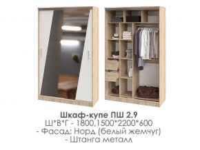 шкаф-купе ПШ-2.9 1500 Норд Белый жемчуг 1500 в Александровске - aleksandrovsk.magazin-mebel74.ru | фото