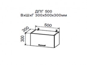 Шкаф верхний ДПГ500 горизонтальный в Александровске - aleksandrovsk.magazin-mebel74.ru | фото