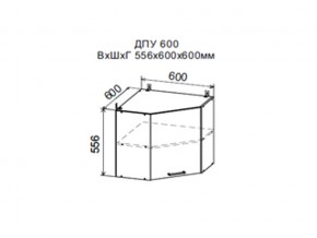 Шкаф верхний ДПУ600 угловой в Александровске - aleksandrovsk.magazin-mebel74.ru | фото