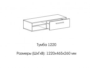 Тумба 1220 (низкая) в Александровске - aleksandrovsk.magazin-mebel74.ru | фото