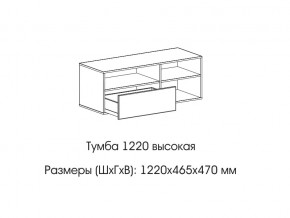 Тумба 1220 (высокая) в Александровске - aleksandrovsk.magazin-mebel74.ru | фото